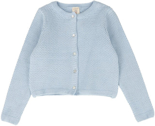 Analogie Knit Classic Cardigan in Light Blue