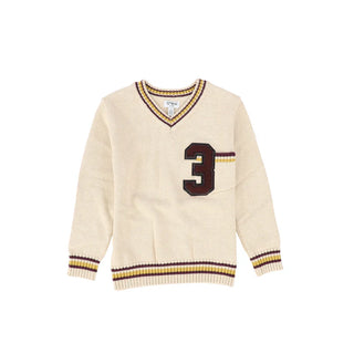 Crew Kids Varsity V-Neck Sweater