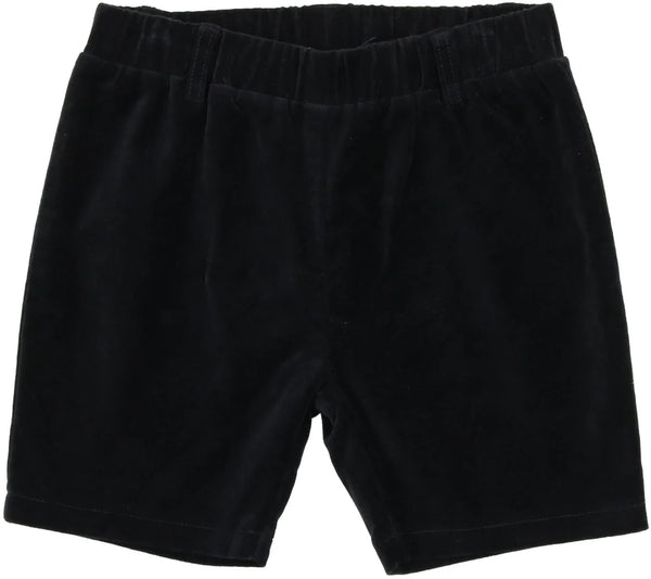 Analogie Velvet Shorts in Navy