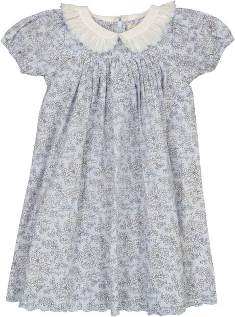 Analogie SS Mountain Meadows Dress Clear Blue