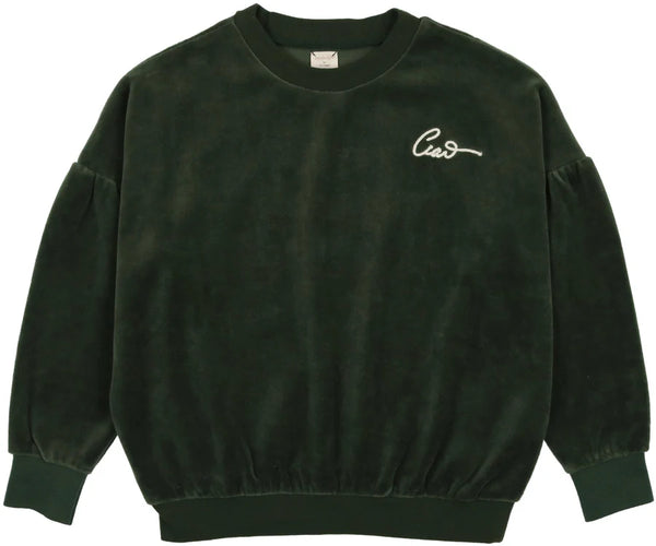 Analogie Boys Green Velour Sweatshirt