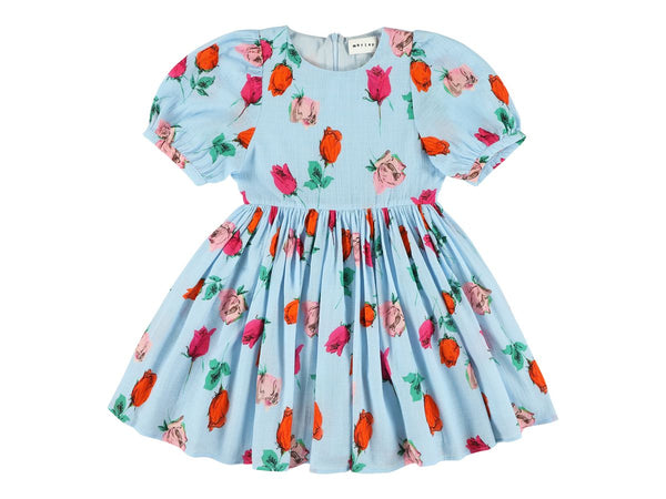 Morley Welsa Dress in Sky Roses