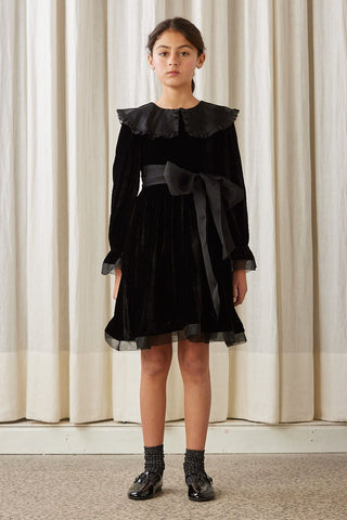 Petite Amalie Black Velvet Dress with Organza Collar