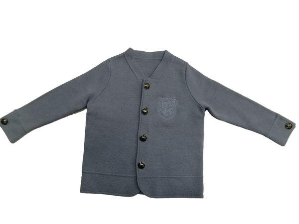 Sweet Threads ARLO Blazer in Grey