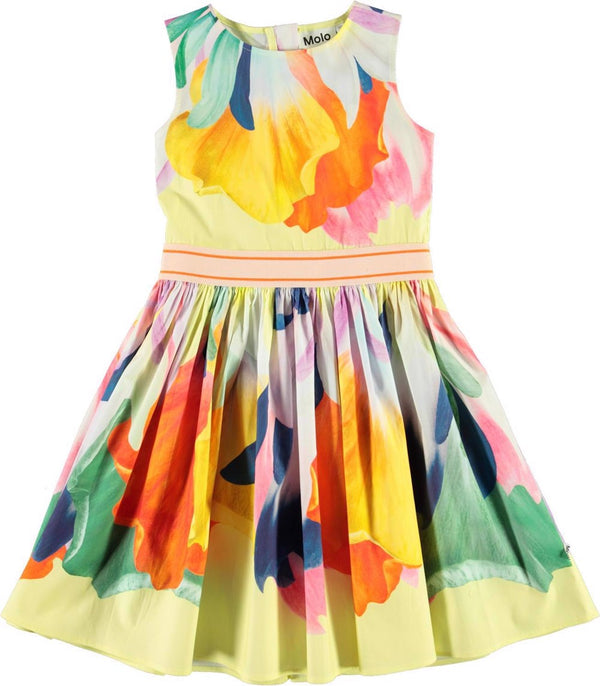 Molo CARLI Dress in Colourful Joy